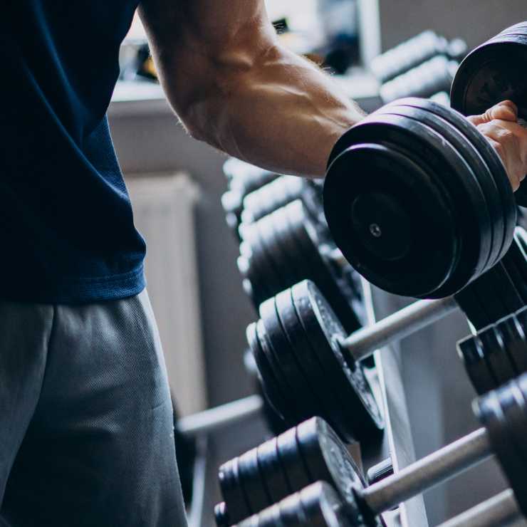 High-protein diets: do they really work in 2023?